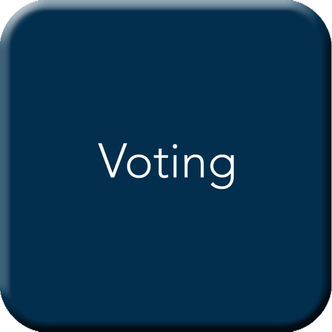 Voting Button