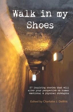 Walk In My Shoes Book Cover