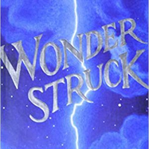 Wonder Struck Book Cover